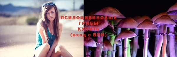 a pvp Абинск