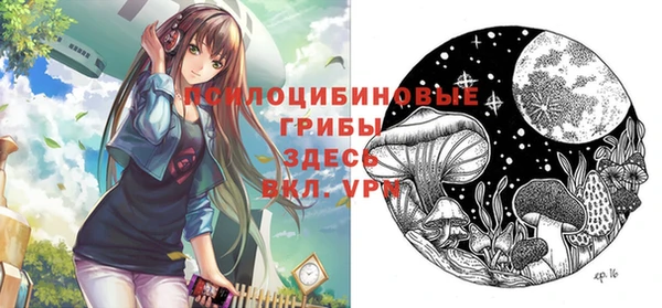 a pvp Абинск