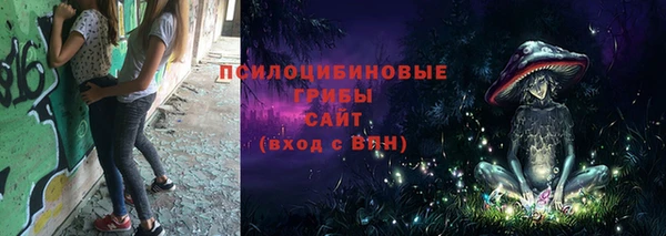 a pvp Абинск