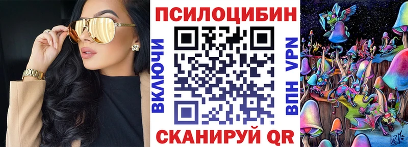 Галлюциногенные грибы Psilocybe  Чулым 